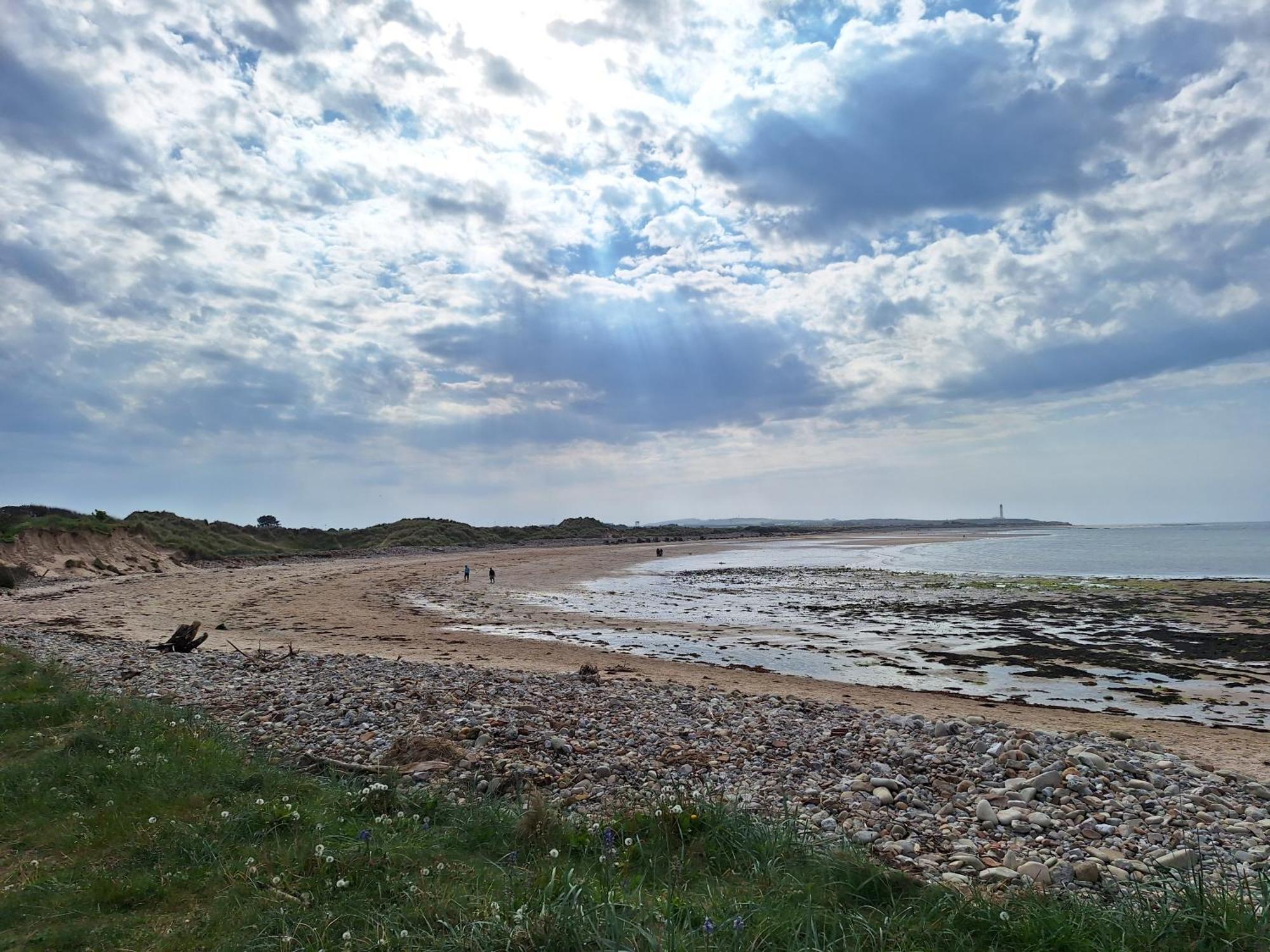 1 Fulmar Road**Next To West Beach And Golf Course Lossiemouth Extérieur photo